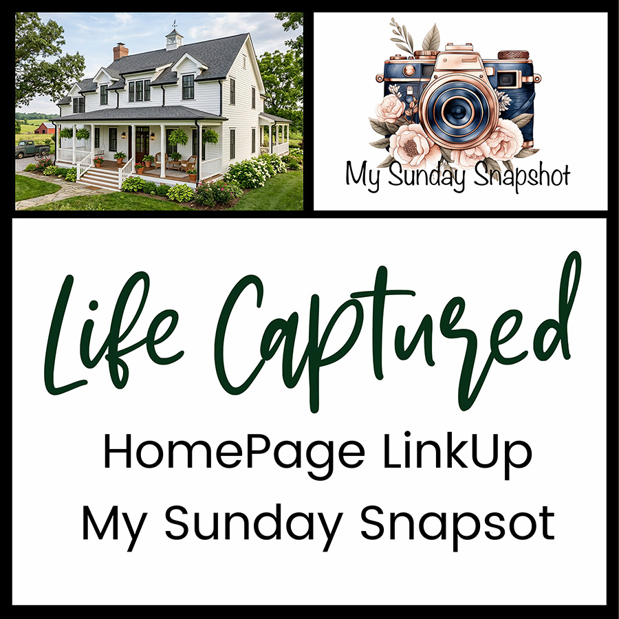 Life Captured